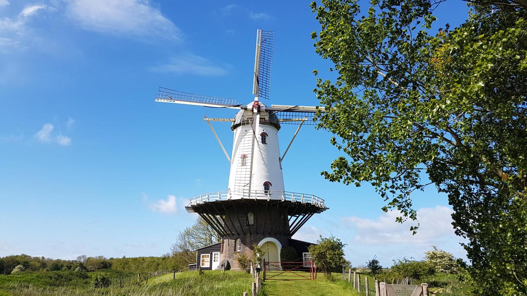 Olmenduin Chalet Olm Zeeland 세로스케르커 외부 사진